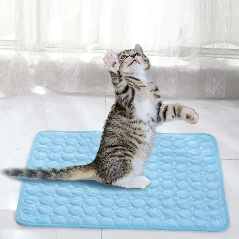 Pet Ice Mat – Cooling Pad